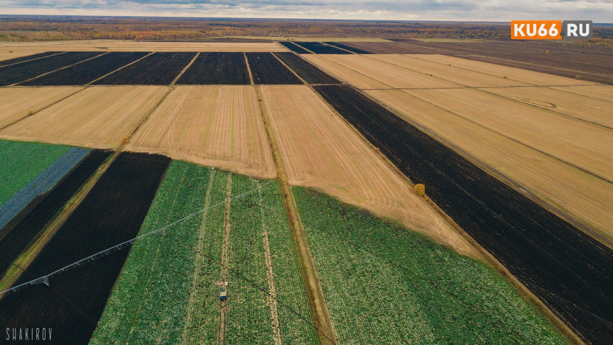 Под Каменском-Уральским выявили заброшенный сельхозучасток на 70 гектаров | Под Каменском-Уральским нашли заброшенные сельхозземли